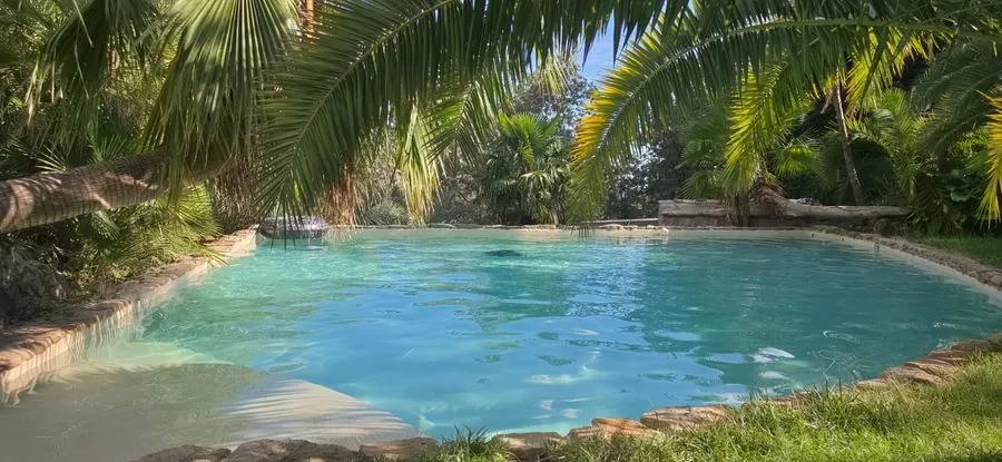 Piscina natural con fondo arena y borde de piedra, rodeada de palmeras, revestida en Estukum